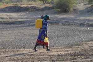 acqua Sololo